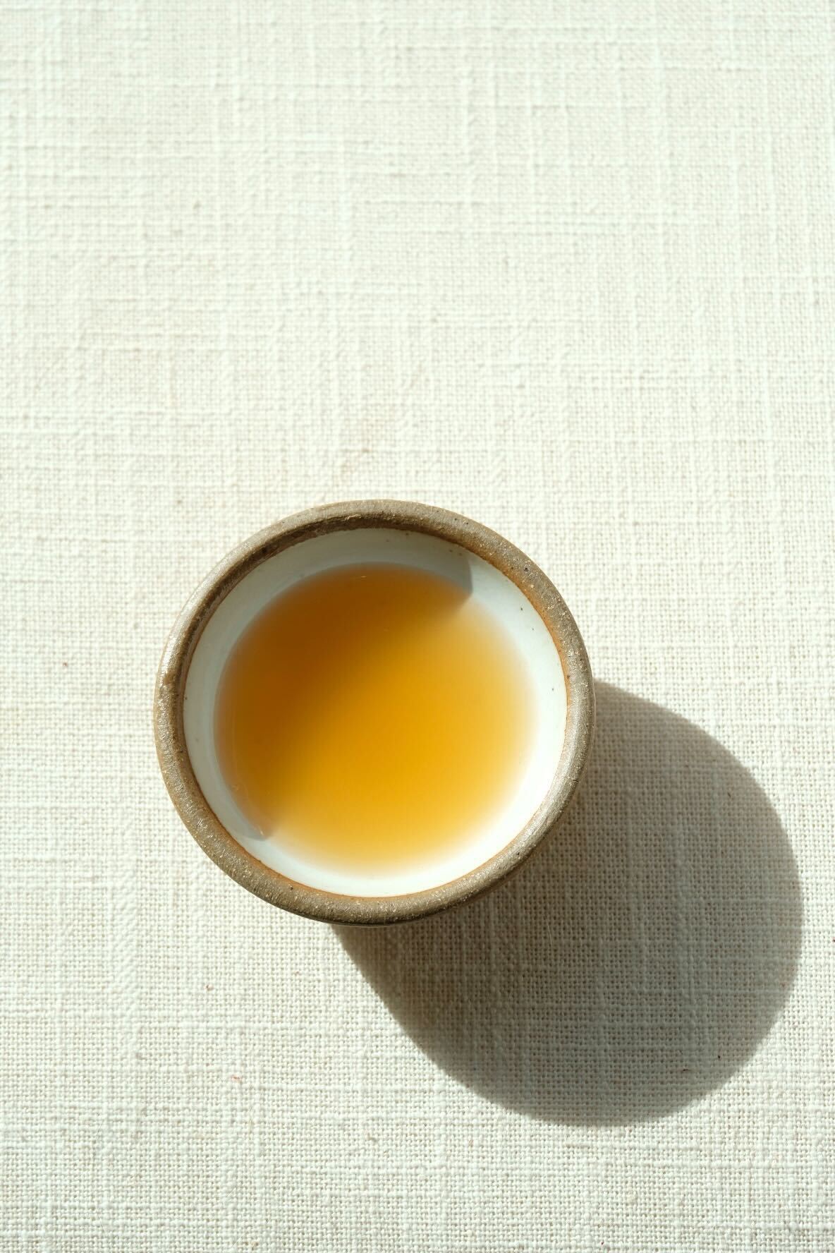 Agave Margarita